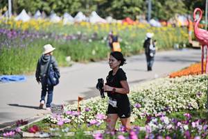 BIB: 
                            <button type="button" onclick="openModal(27793755)" class="btn btn-primary btn-sm float-right btn-popup" data-toggle="modal" data-target=".modal-high-quality">
                        <i class="fas fa-shopping-cart"></i> Add to Cart
                    </button>
                                            <button type="button" onclick="isThisMe(27793755, true)" class="btn btn-success btn-sm float-right btn-popup btn-isme hidden" data-toggle="tooltip" data-placement="bottom" title="นี่คือรูปของคุณใช่ไหม คลิกที่นี่เพื่อเอาเข้าอัลบั้ม">
                        <i class="fas fa-plus"></i> Add to album
                    </button>
                    <button type="button" onclick="isThisMe(27793755, false)" class="btn btn-warning btn-sm float-right btn-popup btn-isnotme hidden">
                        <i class="fas fa-ban"></i> Remove from album
                    </button>